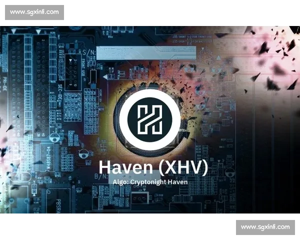 深入解析胜利VS850线性能特点与适用人群及实战体验评测指南